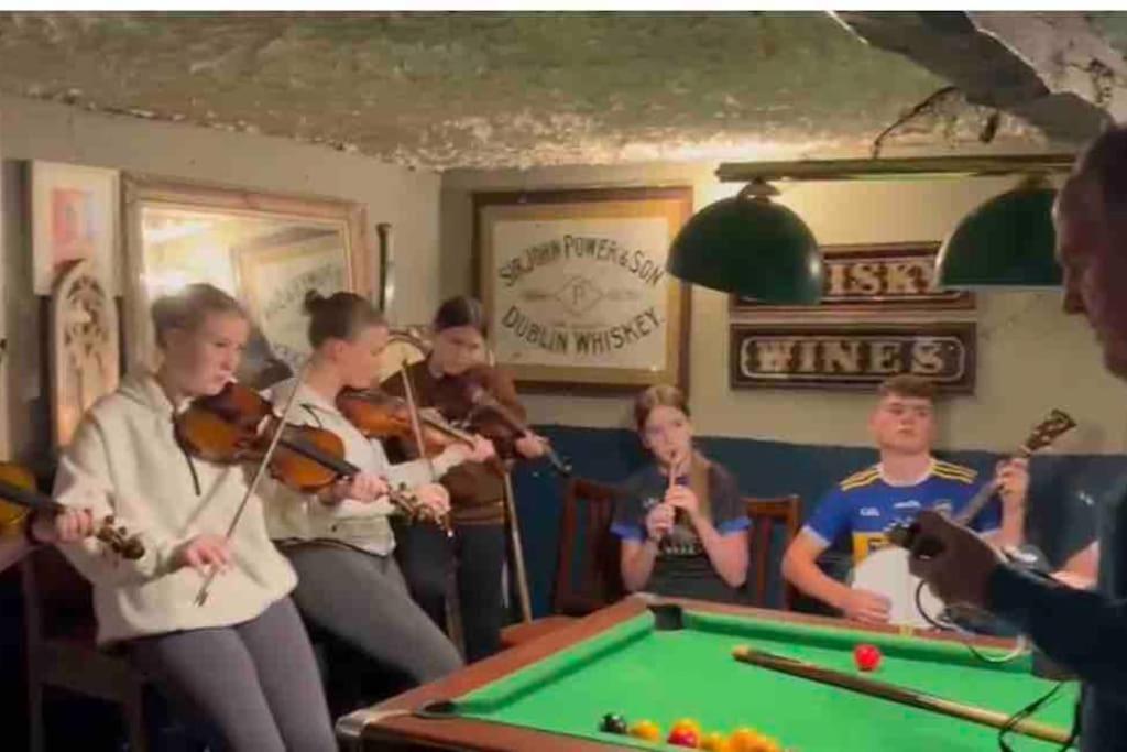 Tom Rocky'S Farmyard Villa Templemore Dış mekan fotoğraf